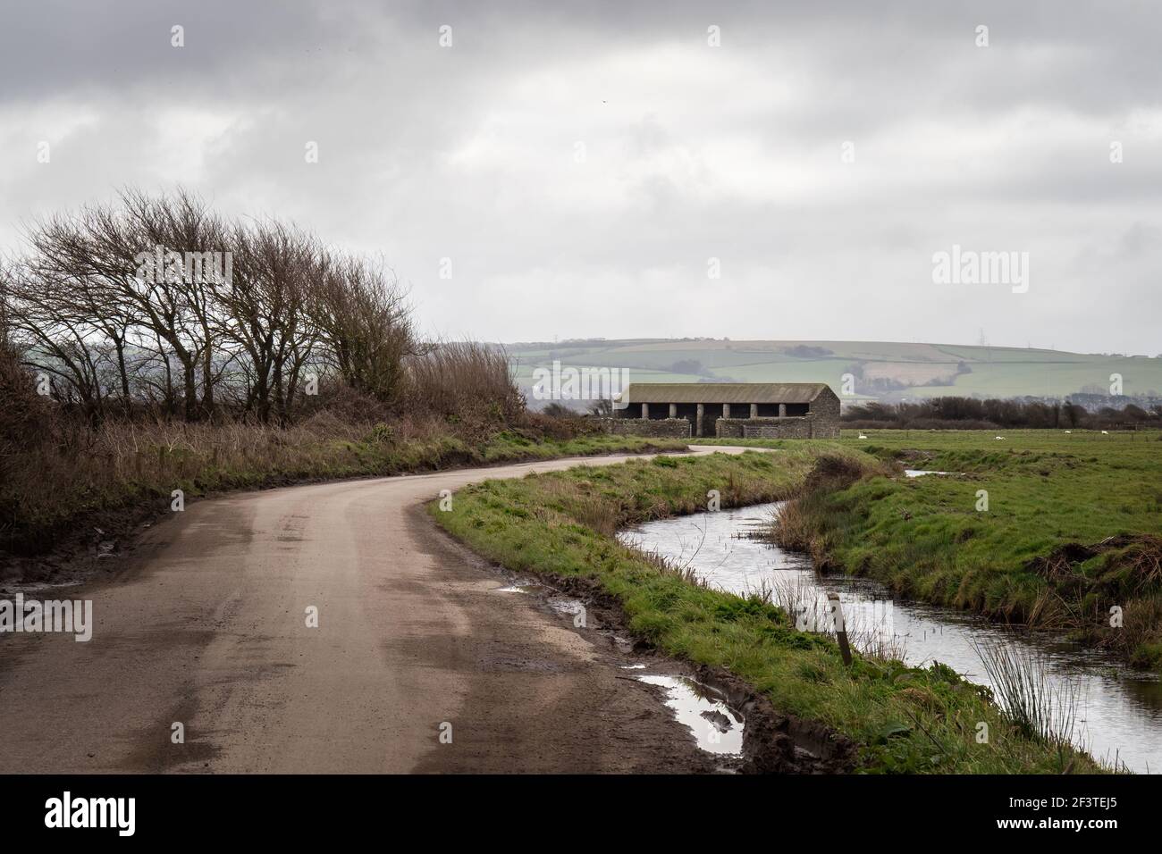 Vue générale sur Braunnton Marshes près de Barnstaple, Devon, Angleterre, avec ruisseau. Banque D'Images