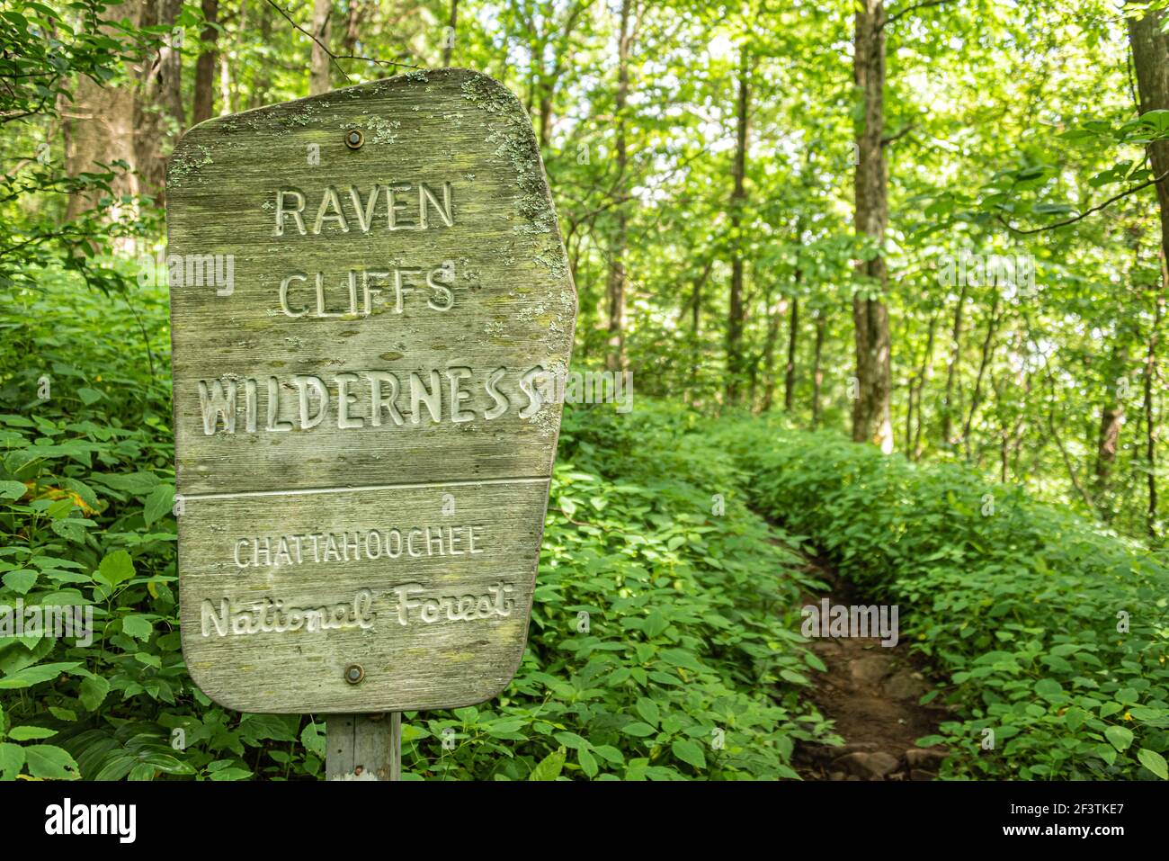 Marqueur de sentier pour la région sauvage de Raven Cliffs dans la forêt nationale de Chattahoochee le long du sentier Appalachian près de Walasi-Yi, dans le nord-est de la Géorgie. (ÉTATS-UNIS) Banque D'Images