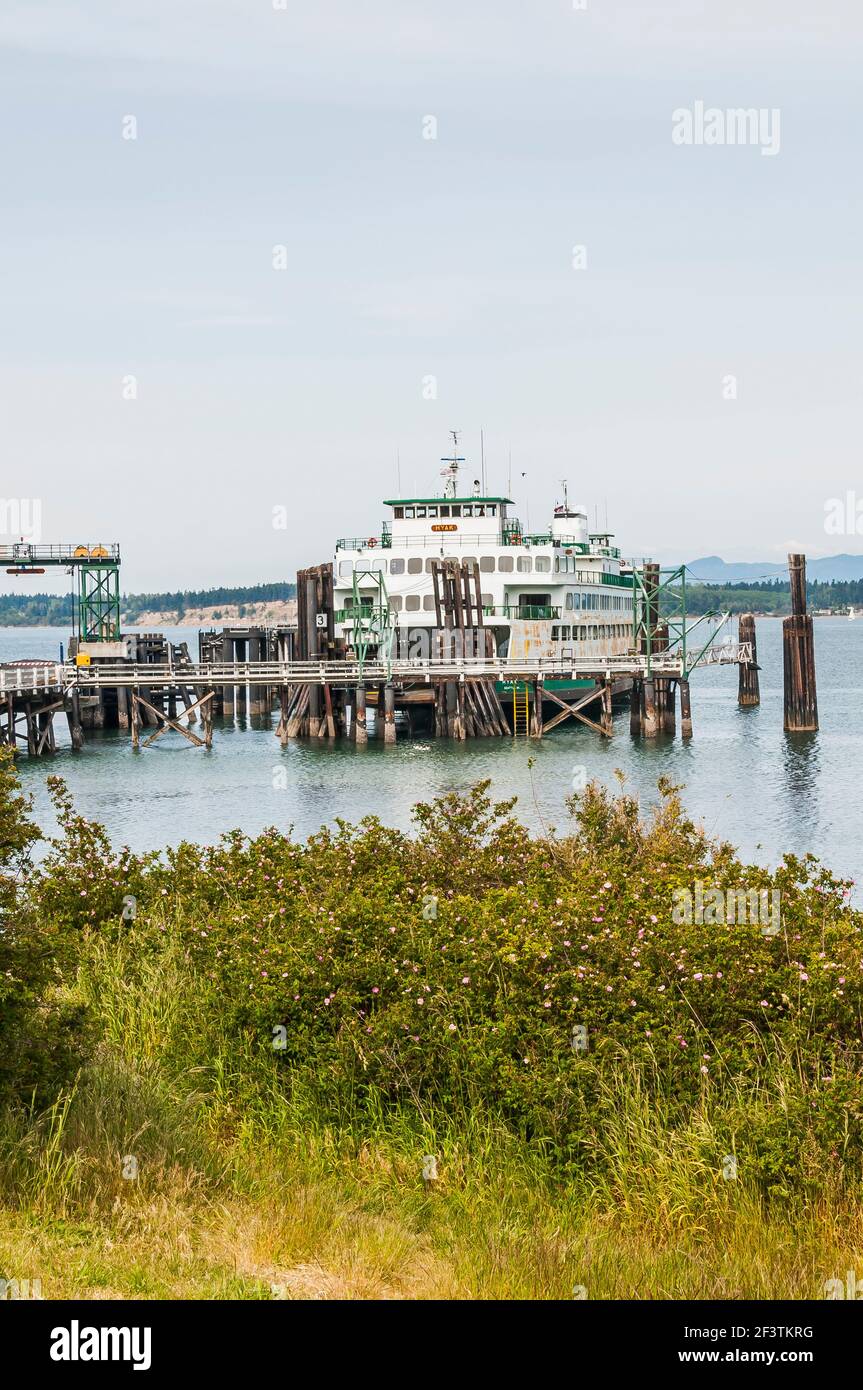 Vue sur le terminal de ferry d'Anacortes et Hyak Ferry depuis un développement de logements sur Navigator Lane à Anacortes, Washington. Banque D'Images