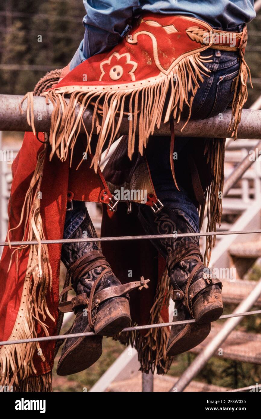 Un cowboy qui se livre à un rodéo-taureau se trouve sur la clôture en prévision de ses craps, bottes et éperons en cuir à franges. Banque D'Images