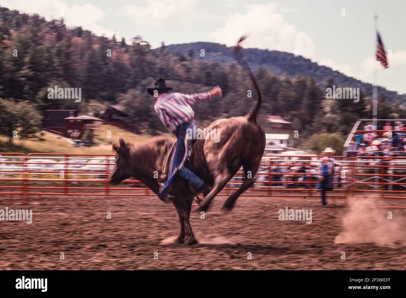 L'image d'un cow-boy de taureau donne un sentiment de monction et de chaos. Banque D'Images