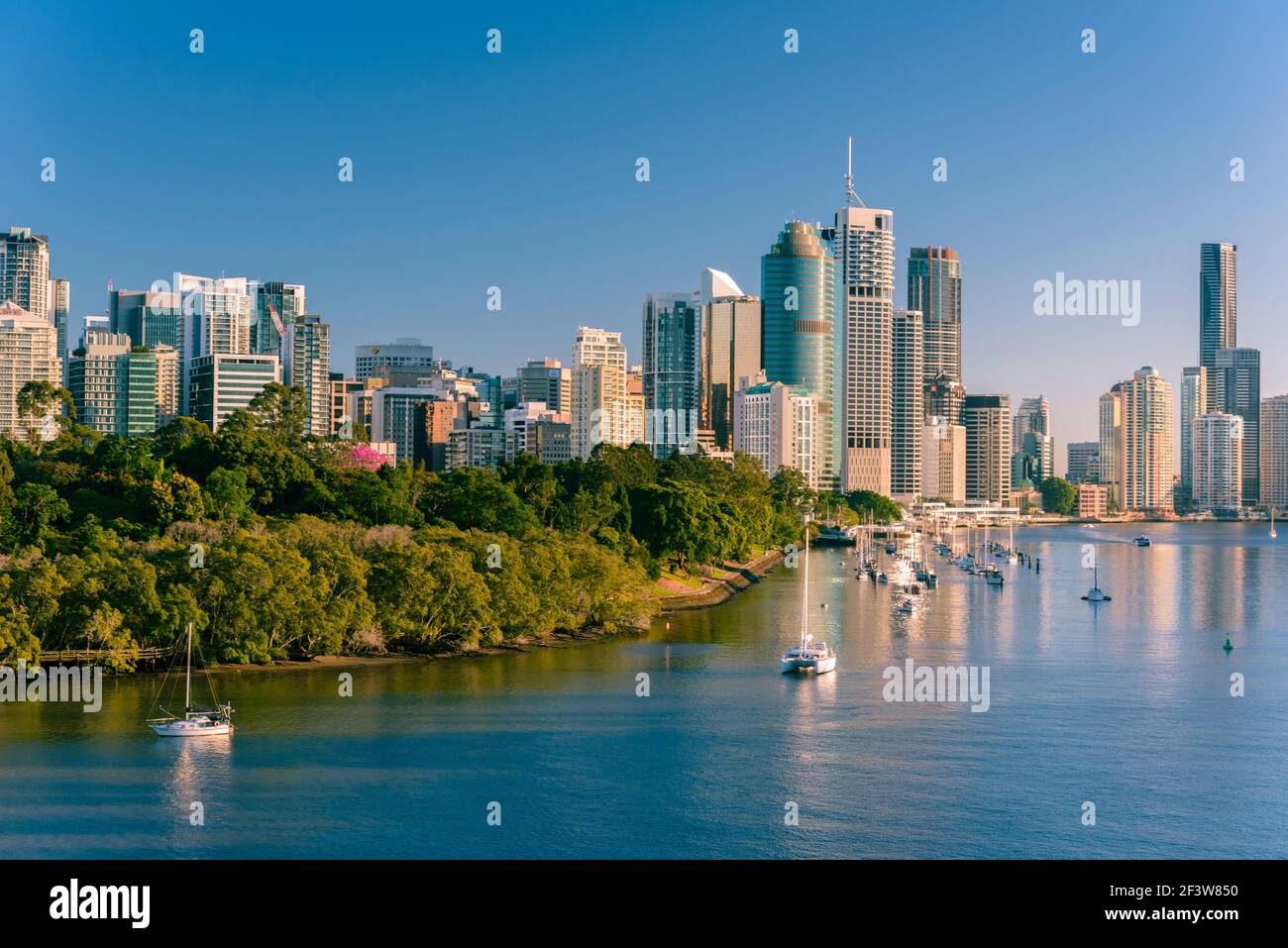 Vue du matin sur la ville et le fleuve de Brisbane depuis Kangaroo point. Brisbane est la capitale de l'État du Queensland, en Australie. Banque D'Images