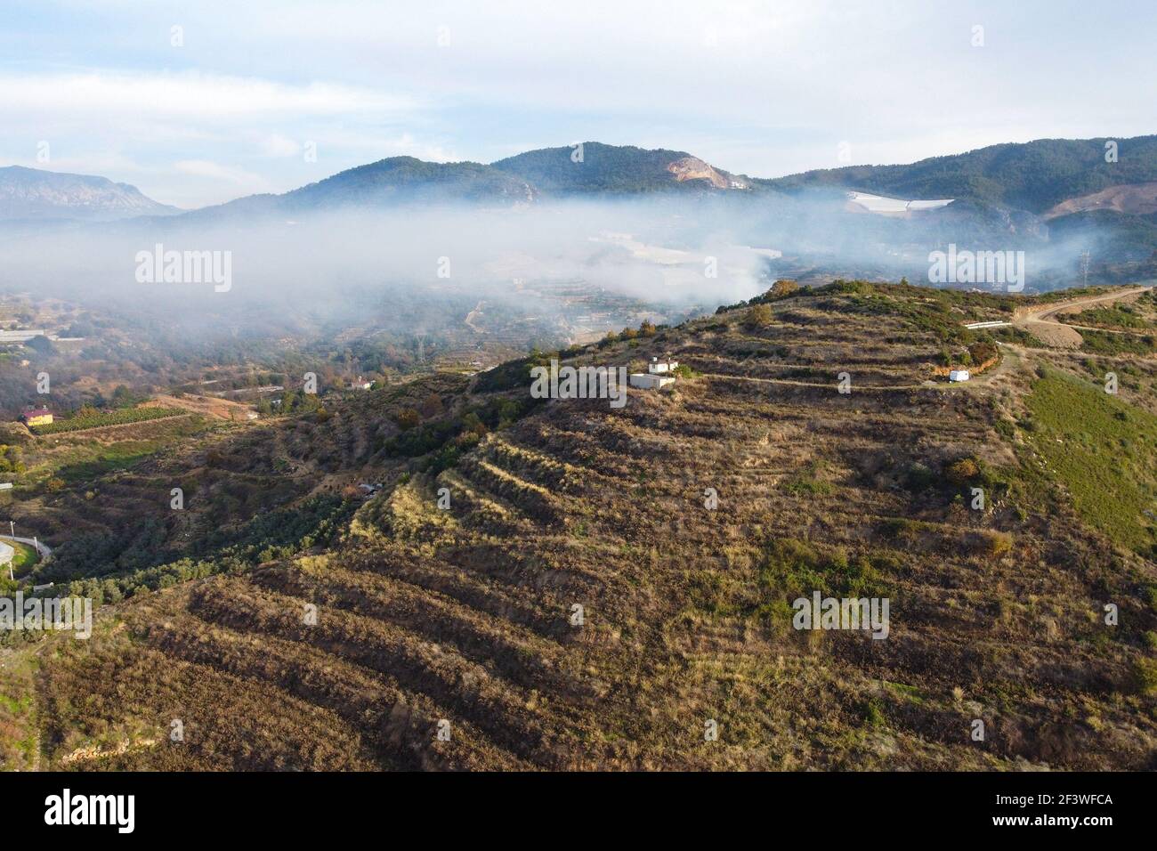 Terrasses à flanc de colline et nuage de brouillard dans un creux de montagne Banque D'Images