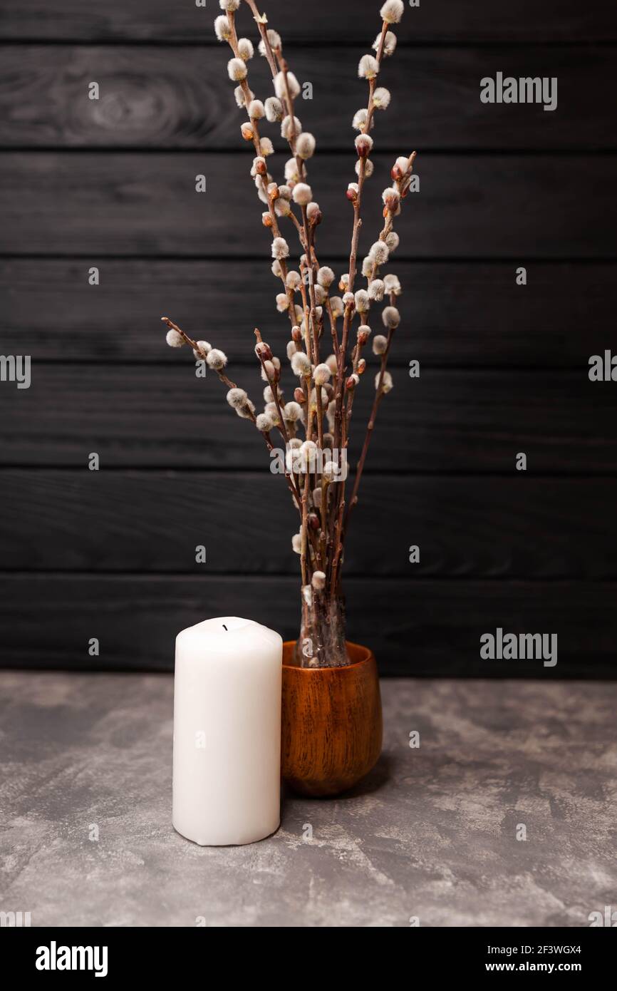 Vase avec branches de saule sur fond sombre. Matin rustique naturel. Banque D'Images