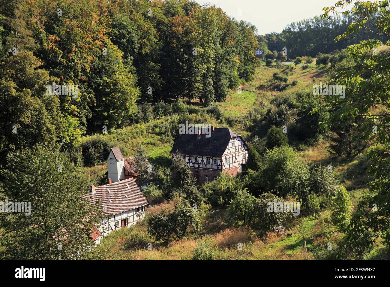 Campagne allemande à Hessen, Allemagne Banque D'Images