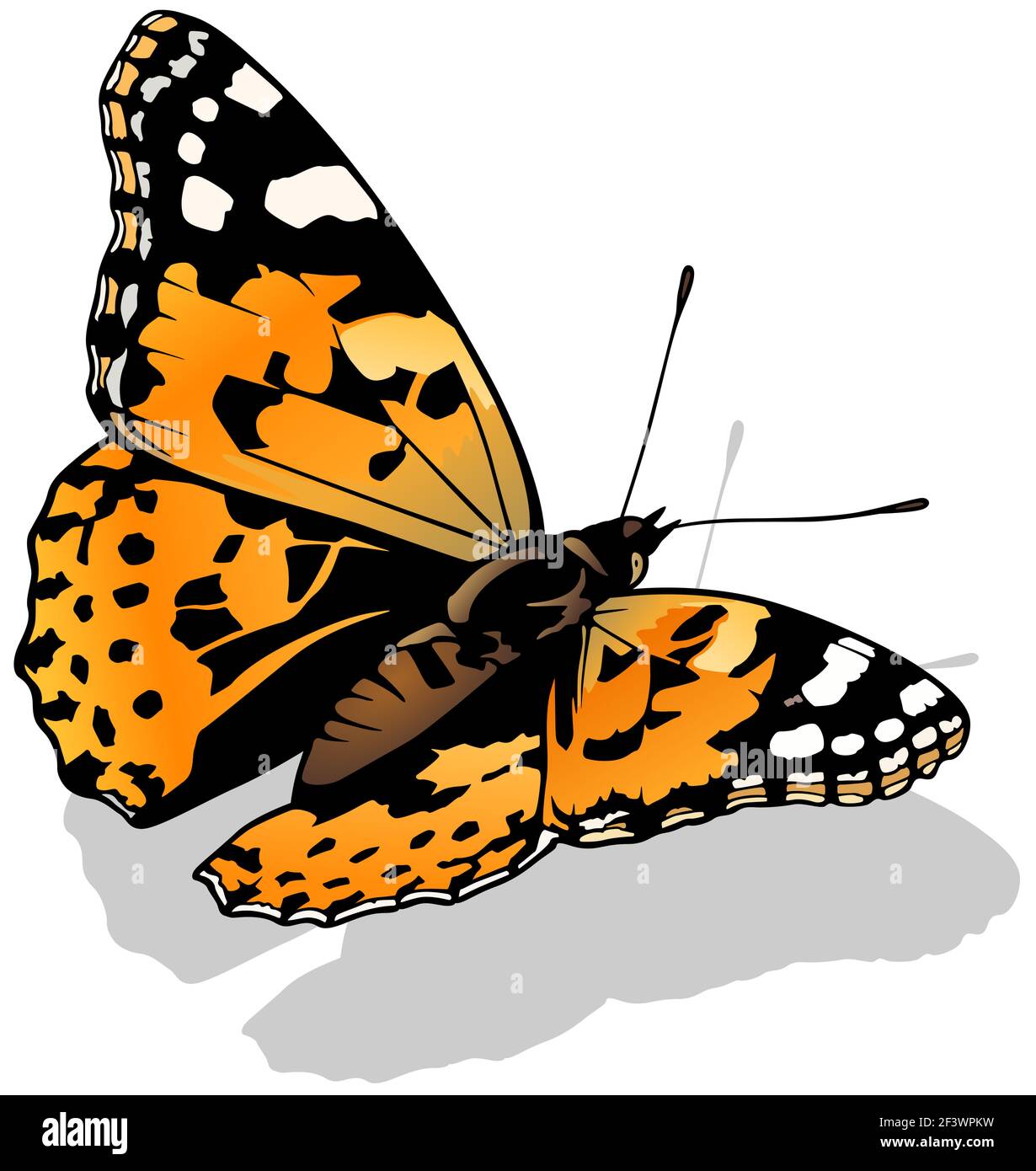 Papillon belle Dame Illustration de Vecteur