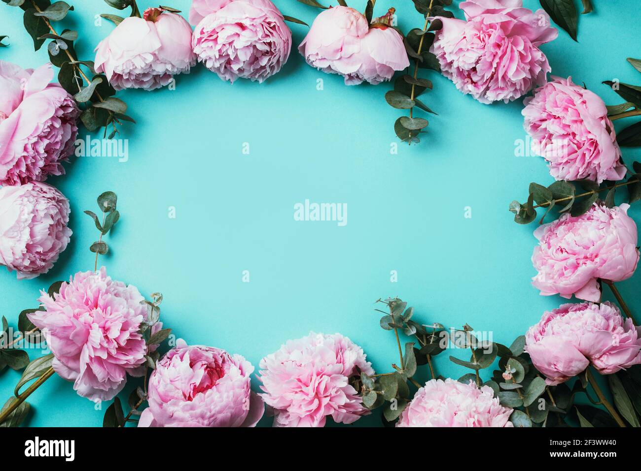 Motif Cadre De Pivoines Roses Fleurs D Eucalyptus Sur Fond Bleu Pastel Flat Lay Vue De Dessus Composition Florale Mariage Anniversaire Anniversaire Photo Stock Alamy
