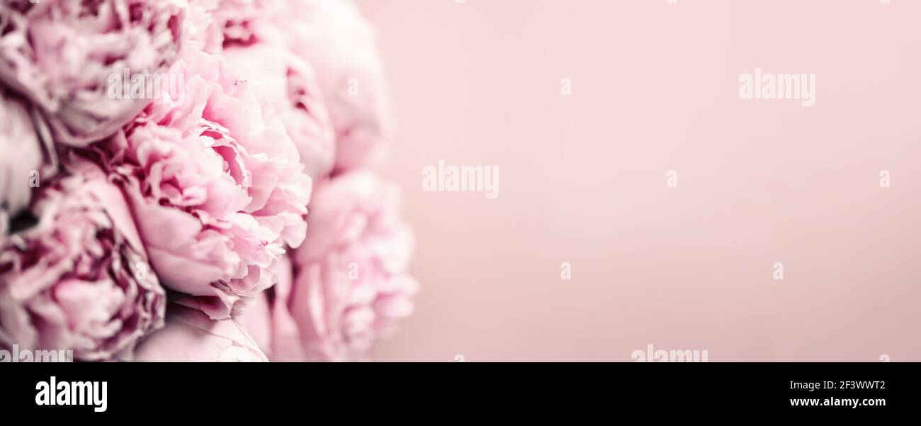 Fleur De Pivoine Rose Sur Fond Pastel Copier L Espace Composition Florale Bouquet De Mariage Anniversaire Anniversaire Fete De La Femme Fete Des Meres Macro De Photo Stock Alamy Fleur De Pivoine Rose Sur Fond Pastel Copier L Espace Composition Florale Bouquet De Mariage Anniversaire Anniversaire Fete De La Femme Fete Des Meres Macro De Photo Stock Alamy