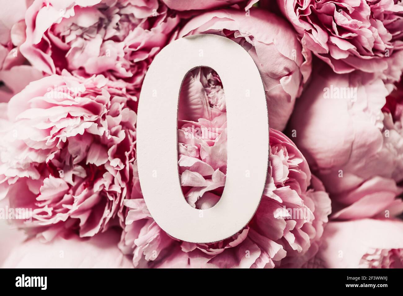 Mise En Page Creative Fleurs De Pivoine Rose Et Numero Zero 0 Carte De Vœux D Anniversaire Concept Anniversaire Vue De Dessus Copier L Espace Elegante Lettre Blanche O Over Photo Stock Alamy