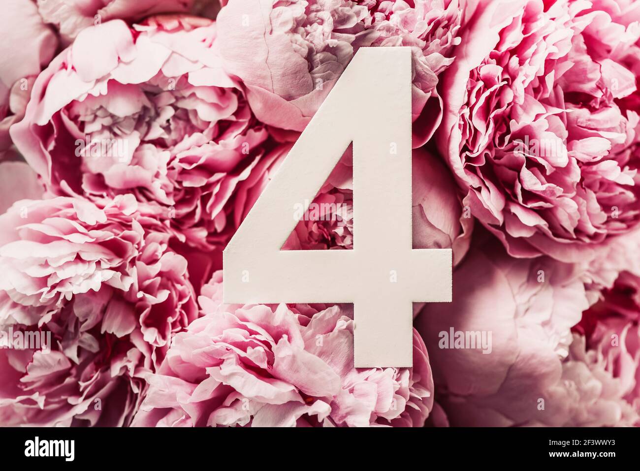 Mise En Page Creative Fleurs De Pivoine Rose Et Chiffre Quatre 4 Carte De Vœux D Anniversaire Concept Anniversaire Vue De Dessus Copier L Espace Elegant Numeral Blanc Photo Stock Alamy