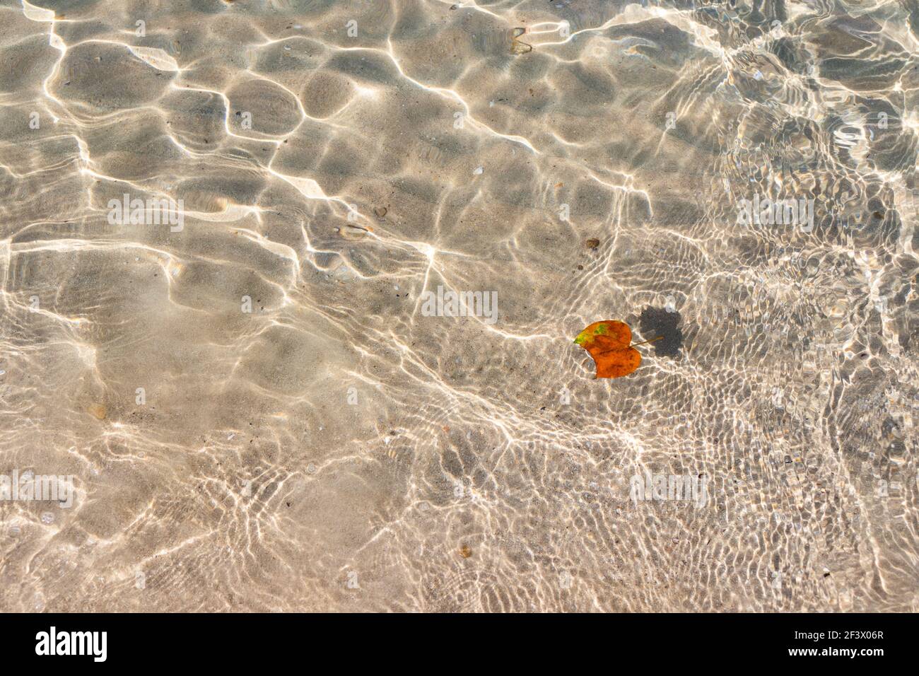 Fond d'eau de plage d'été tropical transparent Banque D'Images
