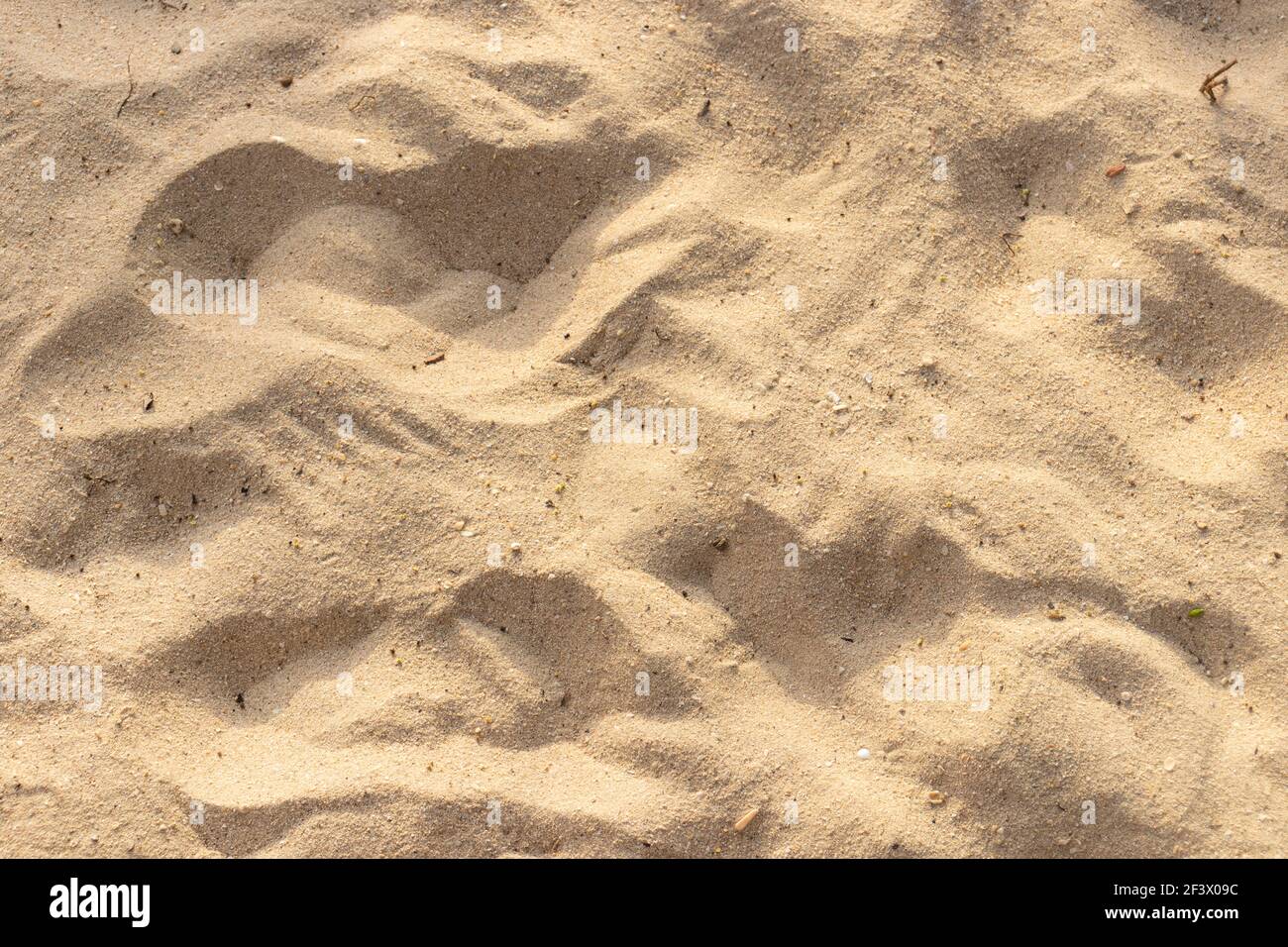Sur la plage de sable pour la texture de fond d'été. Banque D'Images
