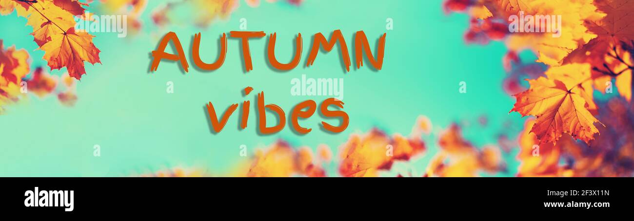 Vibes automatiques de texte. Feuilles jaunes d'automne sur fond bleu ciel. Golden automne concept. Jour ensoleillé, temps chaud. Banque D'Images
