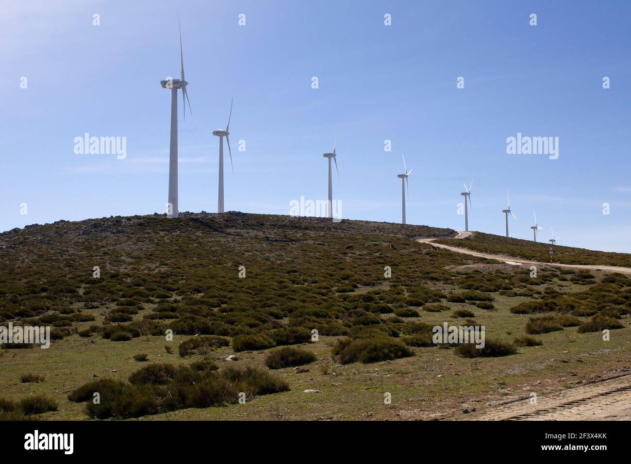 éoliennes produisant de l'électricité sur une division de montagne dans un vent fort Banque D'Images