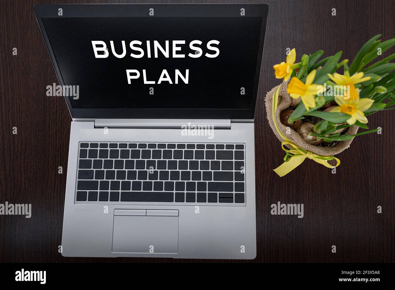 Vue de dessus de l'ordinateur portable argenté avec inscription business plan et plante sur table. Banque D'Images