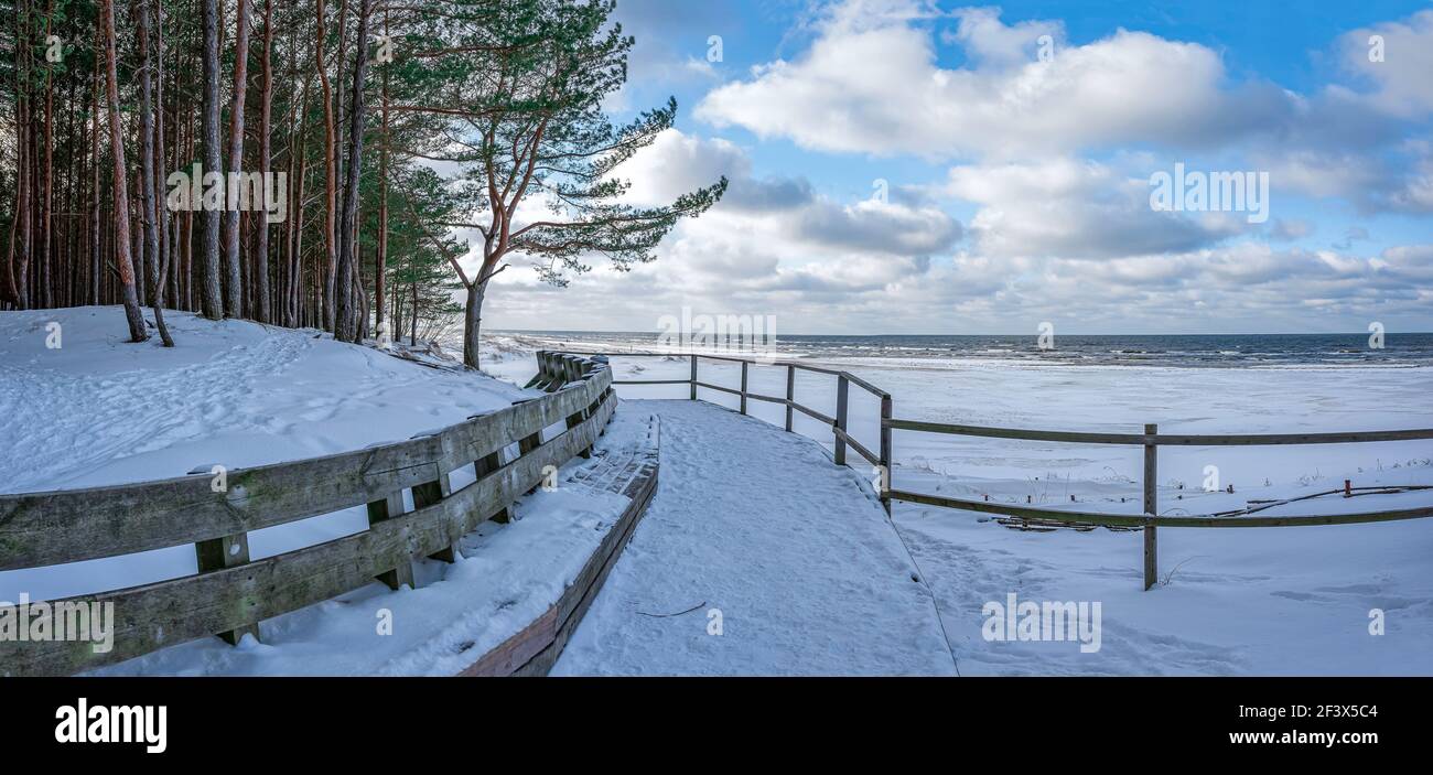 Vue panoramique sur un banc en bois et la côte de la mer Baltique couverte de neige pendant une journée ensoleillée avec ciel bleu et nuages. Couvert dans la plage de neige de mer avec du pin pour Banque D'Images
