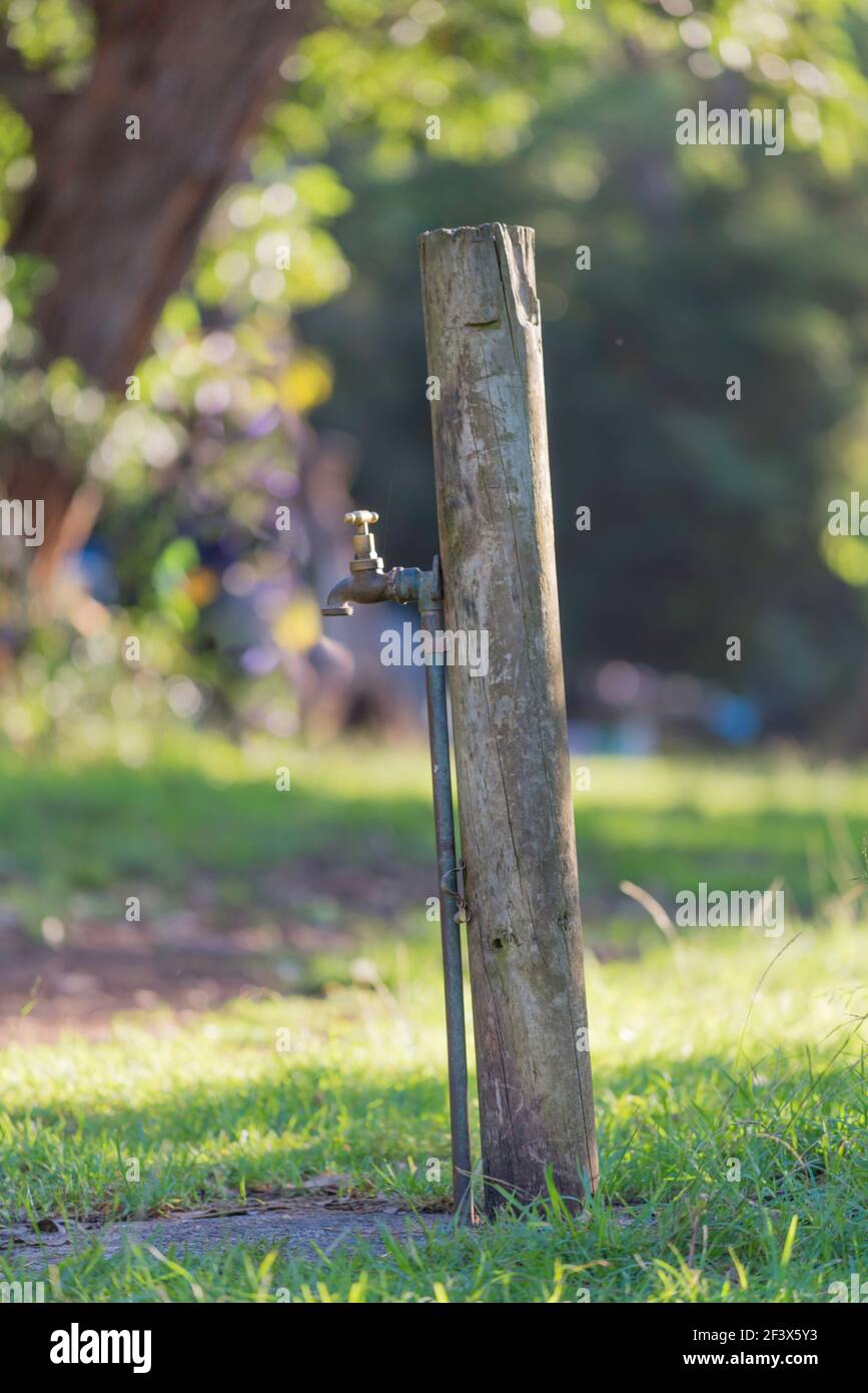Un robinet ou un robinet d'eau en laiton brillant monté sur un poteau en  bois fournit une source d'eau douce dans un terrain de camping en  Nouvelle-Galles du Sud, en Australie Photo