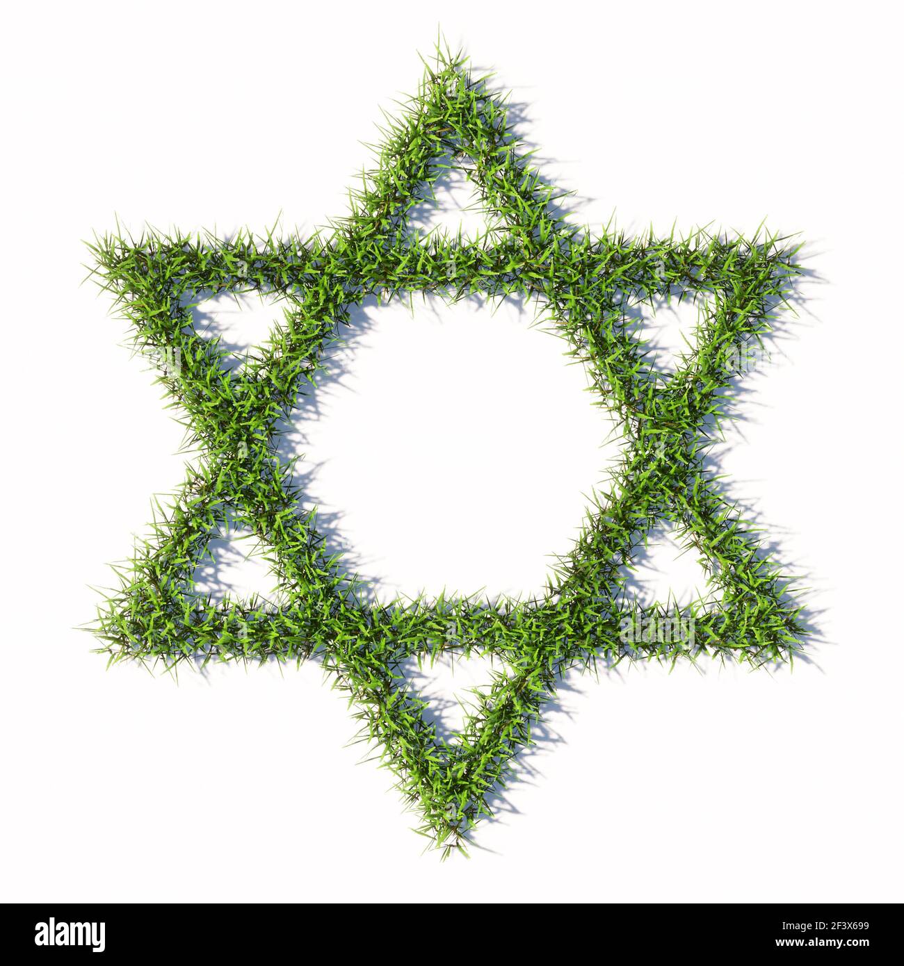 Concept ou conceptuel vert pelouse d'été herbe isolée sur fond blanc, signe de religieux hébraïque David star. Métaphore de l'illustration 3d pour le judaïsme Banque D'Images