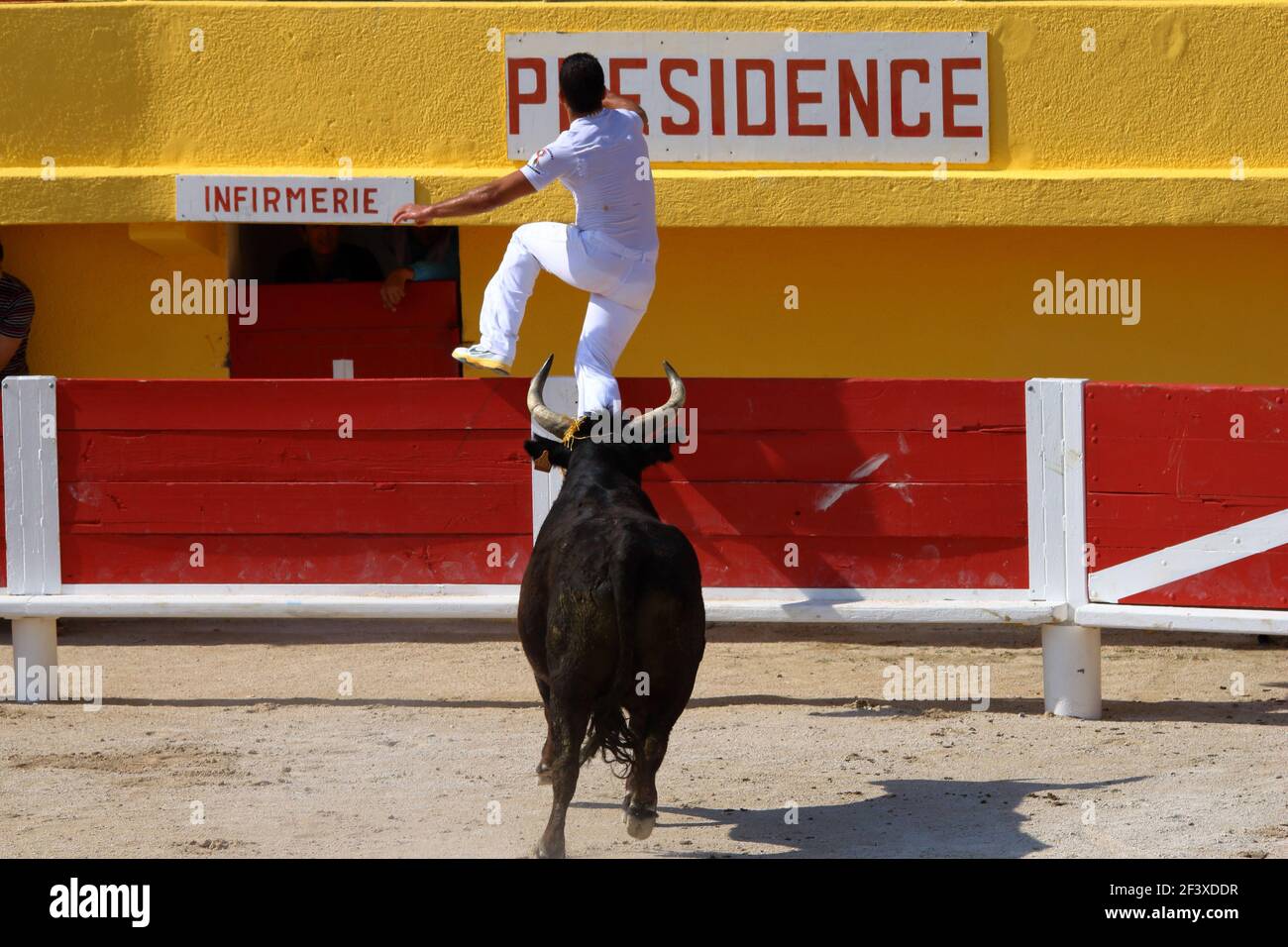 Style argumenque de corrida Banque D'Images