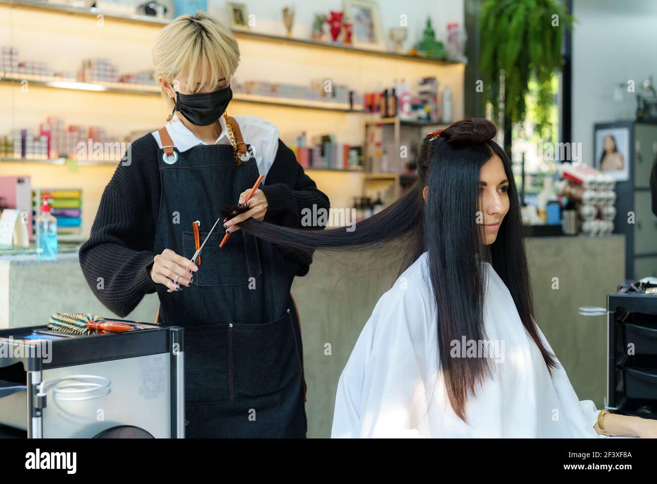 Styliste professionnel hair coupe à salon Banque D'Images