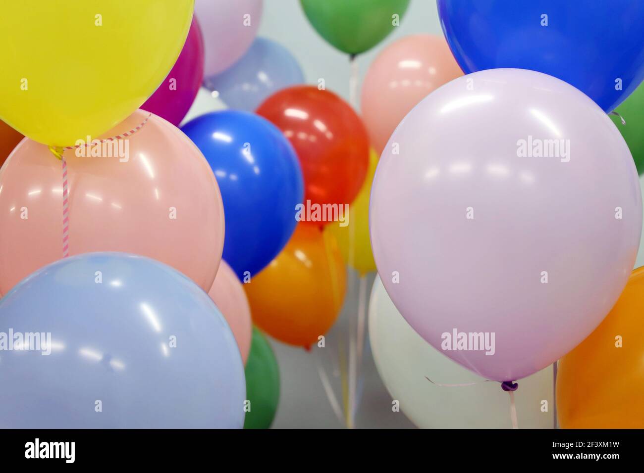 Ballons d'hélium avec rubans dans le bureau. Décor coloré pour les fêtes d'anniversaire, les fêtes d'entreprise Banque D'Images