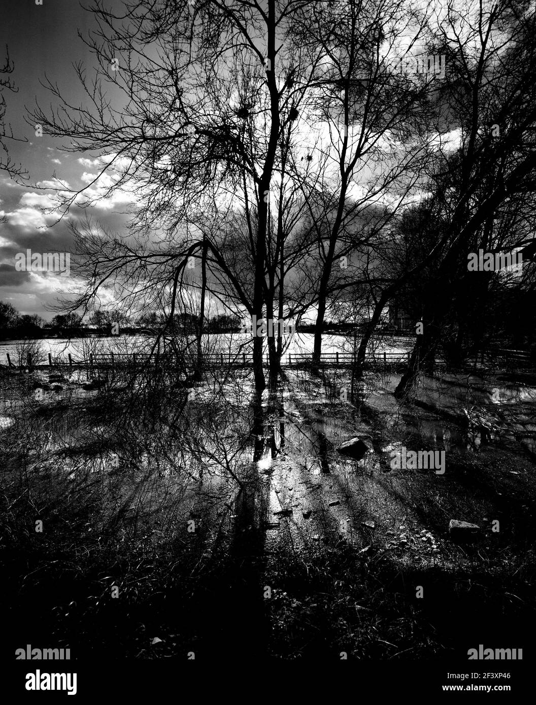 Noir et blanc d'arbres dans la rivière inondée avec spectaculaire nuages et ciel Banque D'Images