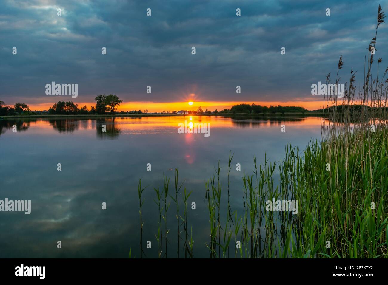 Roseaux dans le lac et coucher de soleil avec des nuages sombres, Stankow, Pologne Banque D'Images