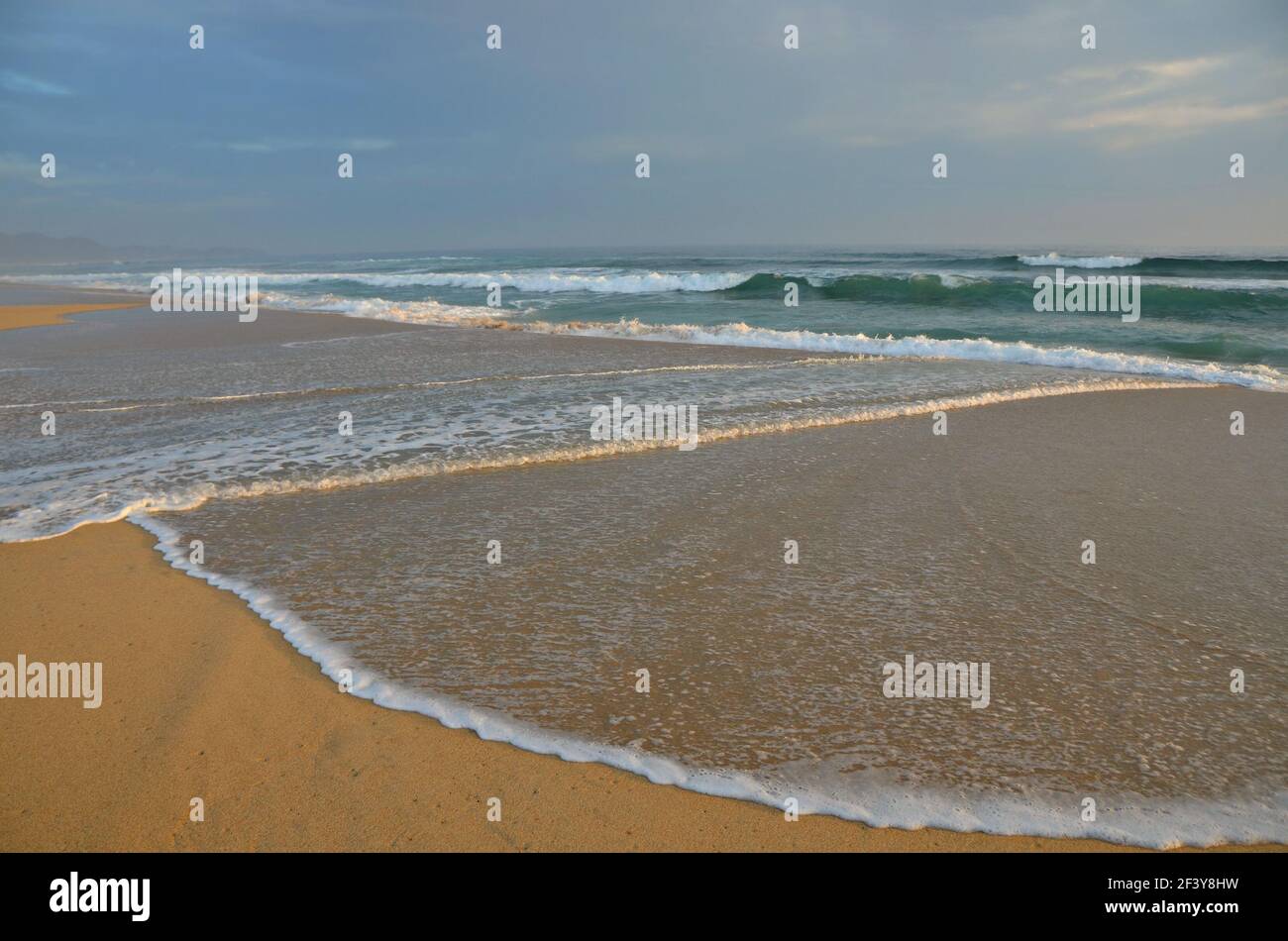 Vue panoramique sur Playa San Pedrito à Baja California sur, Mexique. Banque D'Images