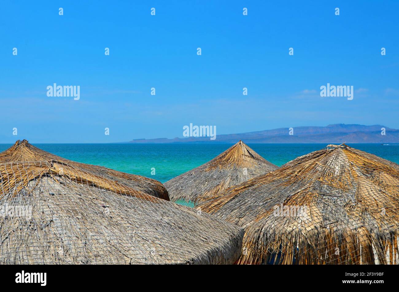 Paysage avec parasols de palapa et vue panoramique sur Playa El Tecolote, une plage de sable blanc isolée avec des eaux turquoise à la Paz, Mexique. Banque D'Images