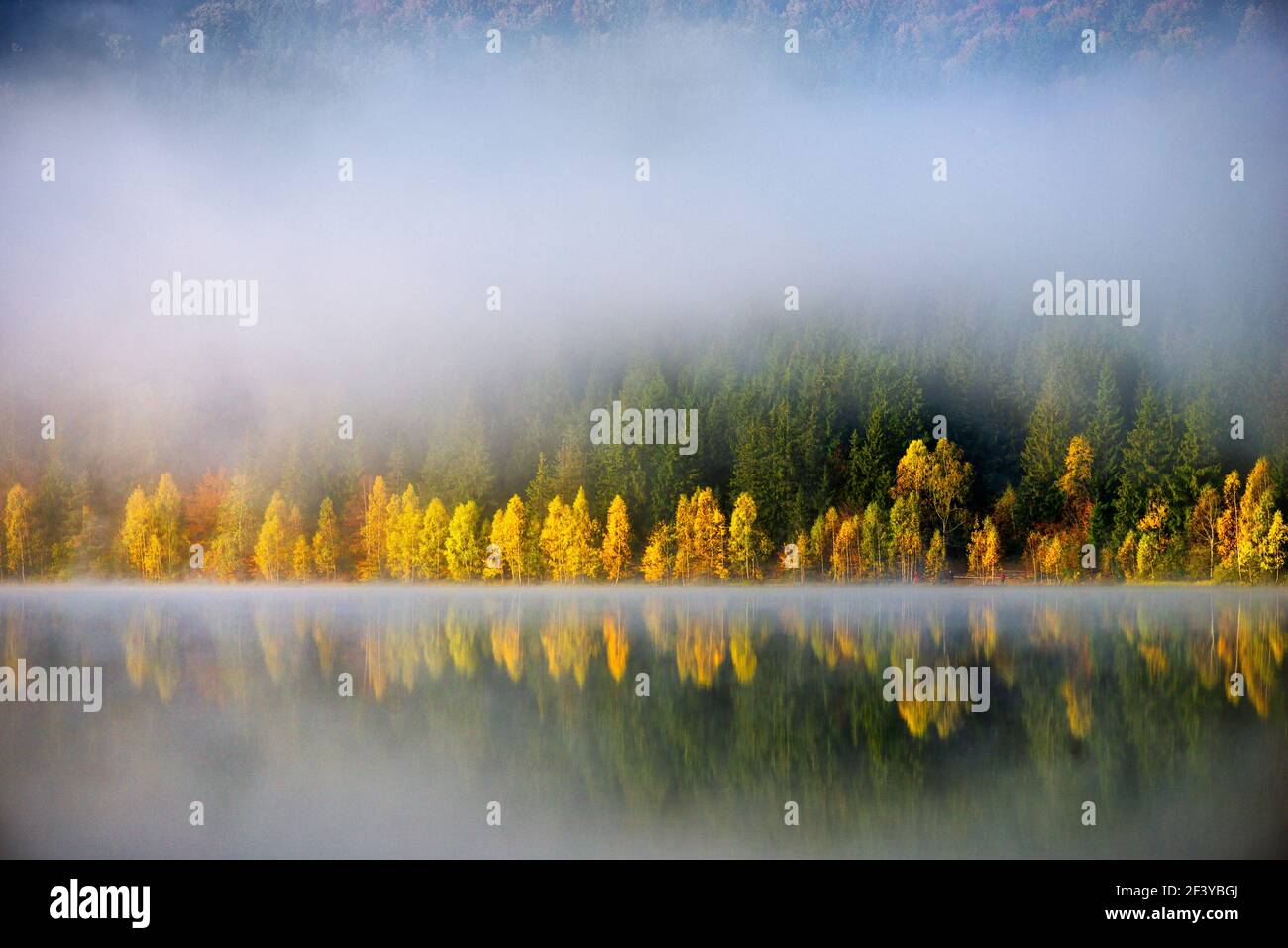 Paysage d'automne dans les montagnes avec des arbres se reflétant dans l'eau au fleuve Ana's Lake, Roumanie Banque D'Images