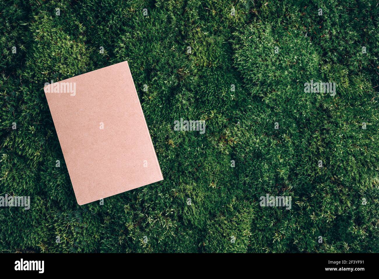 Cahier artisanal, livre de croquis sur l'herbe verte de printemps fraîche, fond de mousse. Copier l'espace. Vue de dessus. Nature sauvage, concept d'écologie. Forêt d'été Banque D'Images