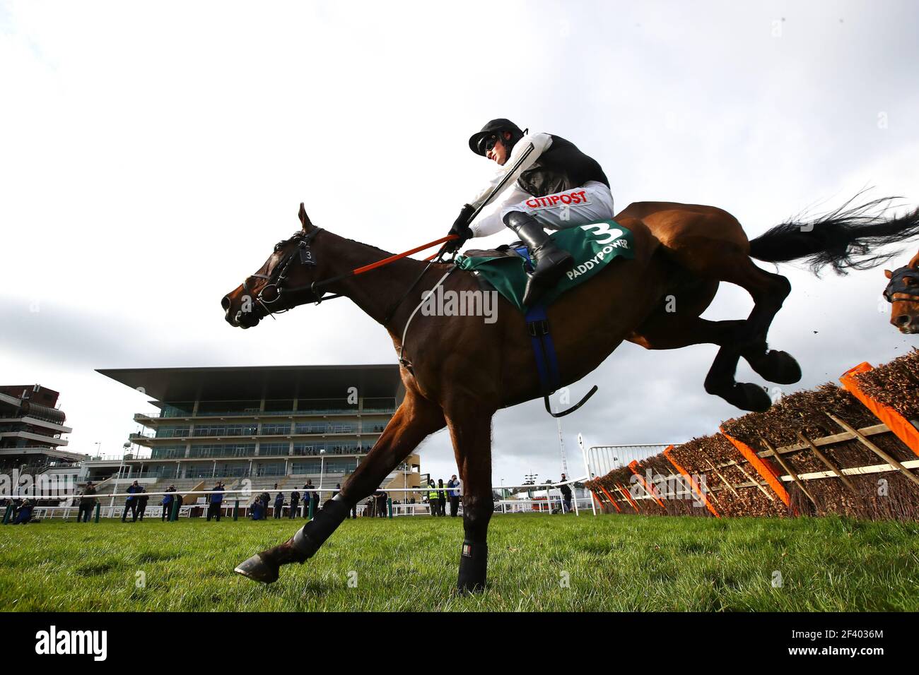 Floor porter, monté par Danny Mullins sur le chemin de gagner l'obstacle des poignardés de Paddy Power pendant la troisième journée du Cheltenham Festival à Cheltenham Racecourse. Date de la photo: Jeudi 18 mars 2021. Banque D'Images Floor porter, monté par Danny Mullins sur le chemin de gagner l'obstacle des poignardés de Paddy Power pendant la troisième journée du Cheltenham Festival à Cheltenham Racecourse. Date de la photo: Jeudi 18 mars 2021. Banque D'Images