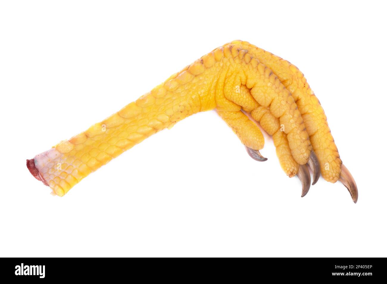 Pieds de poulet frais crus ou pattes de poulet isolées dessus arrière-plan blanc Banque D'Images