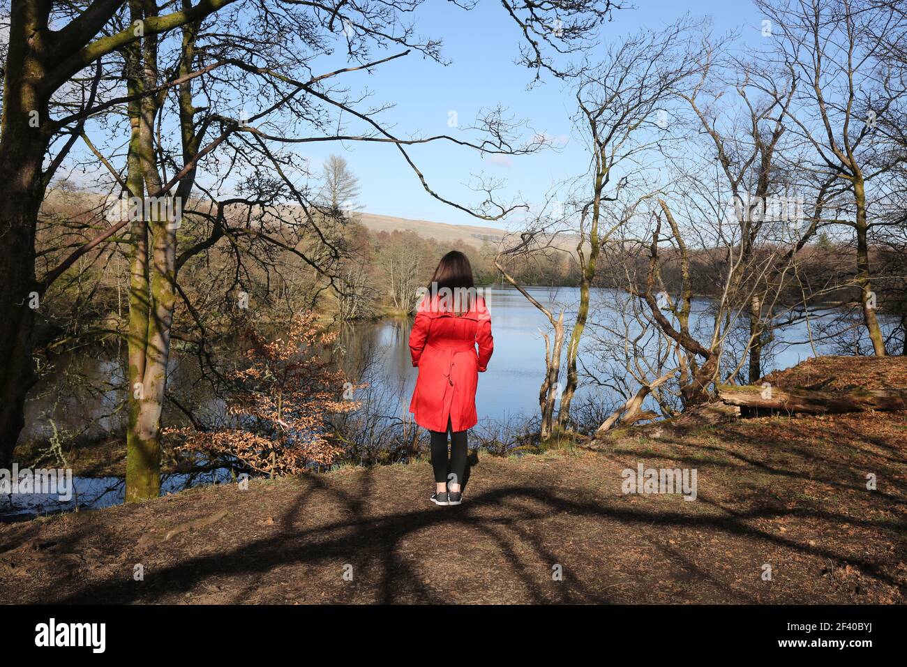 Mugdock Country Park (Milngavie) East Dunbartonshire, Écosse, Royaume-Uni, 17 mars 2021. Femme en manteau rouge avec dos à l'appareil photo Banque D'Images
