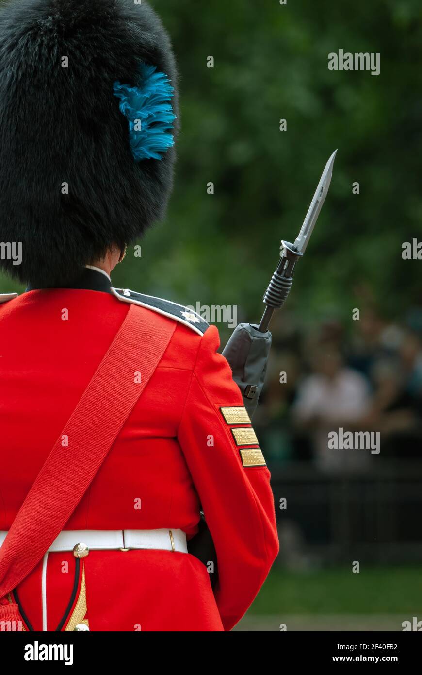 LONDRES, Royaume-Uni - 12 JUIN 2010 : vue arrière de Guardsman des gardes irlandais avec baïonnette fixe lors de la cérémonie Trooping the Color Banque D'Images