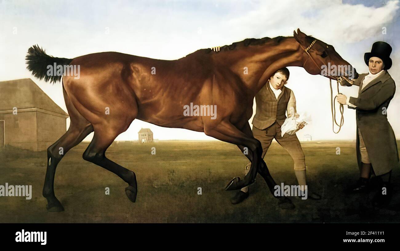 George Stubbs - Hambletonian Banque D'Images