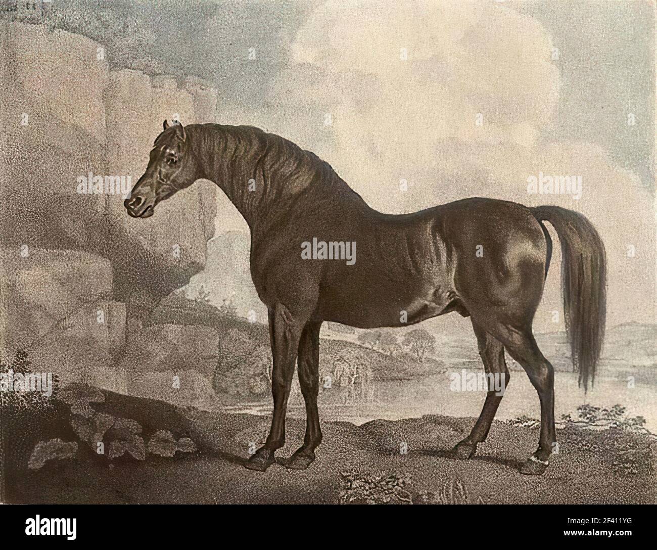 George Stubbs - Marske Horse Banque D'Images