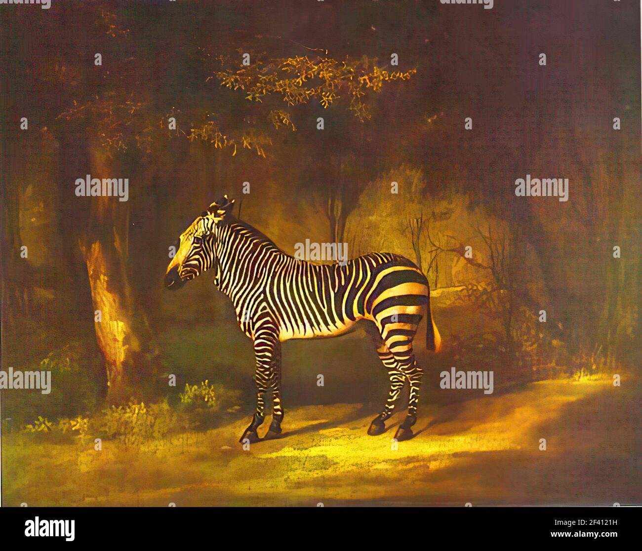 George Stubbs - Zebr 1763 Banque D'Images