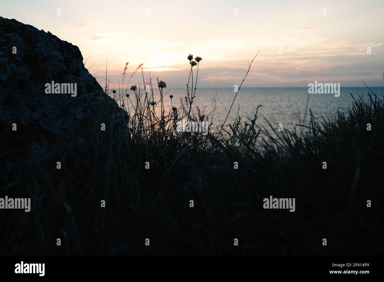 Silhouettes de fleurs de rochers côtiers et herbe en face du coucher du soleil sur la mer. Silhouettes de rochers côtiers et d'herbe en face du coucher du soleil sur la mer Banque D'Images