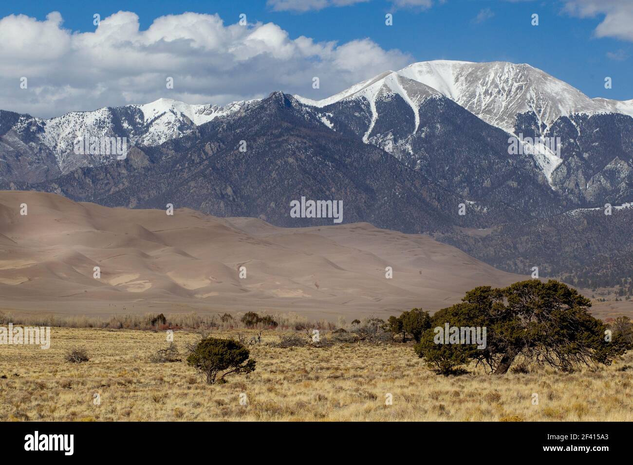 Parc national de Great Sand Dunes et réserve un parc national américain dans le Colorado. Le parc contient les dunes de sable les plus hautes d'Amérique du Nord Banque D'Images