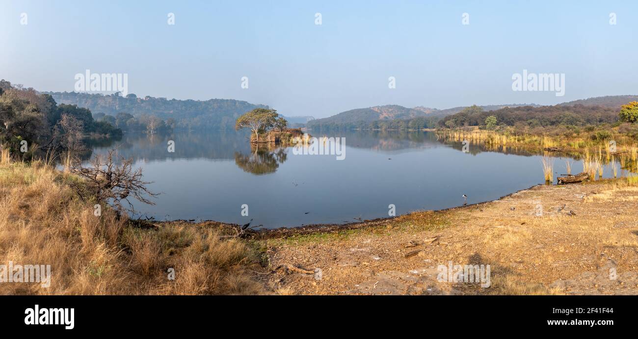 Jungle Inde. Parc National De Ranthambore Rajasthan Inde. Belle nature de l'Inde Banque D'Images