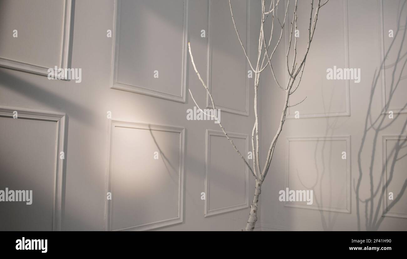 Arbre lumineux minces dans la chambre blanche Banque D'Images