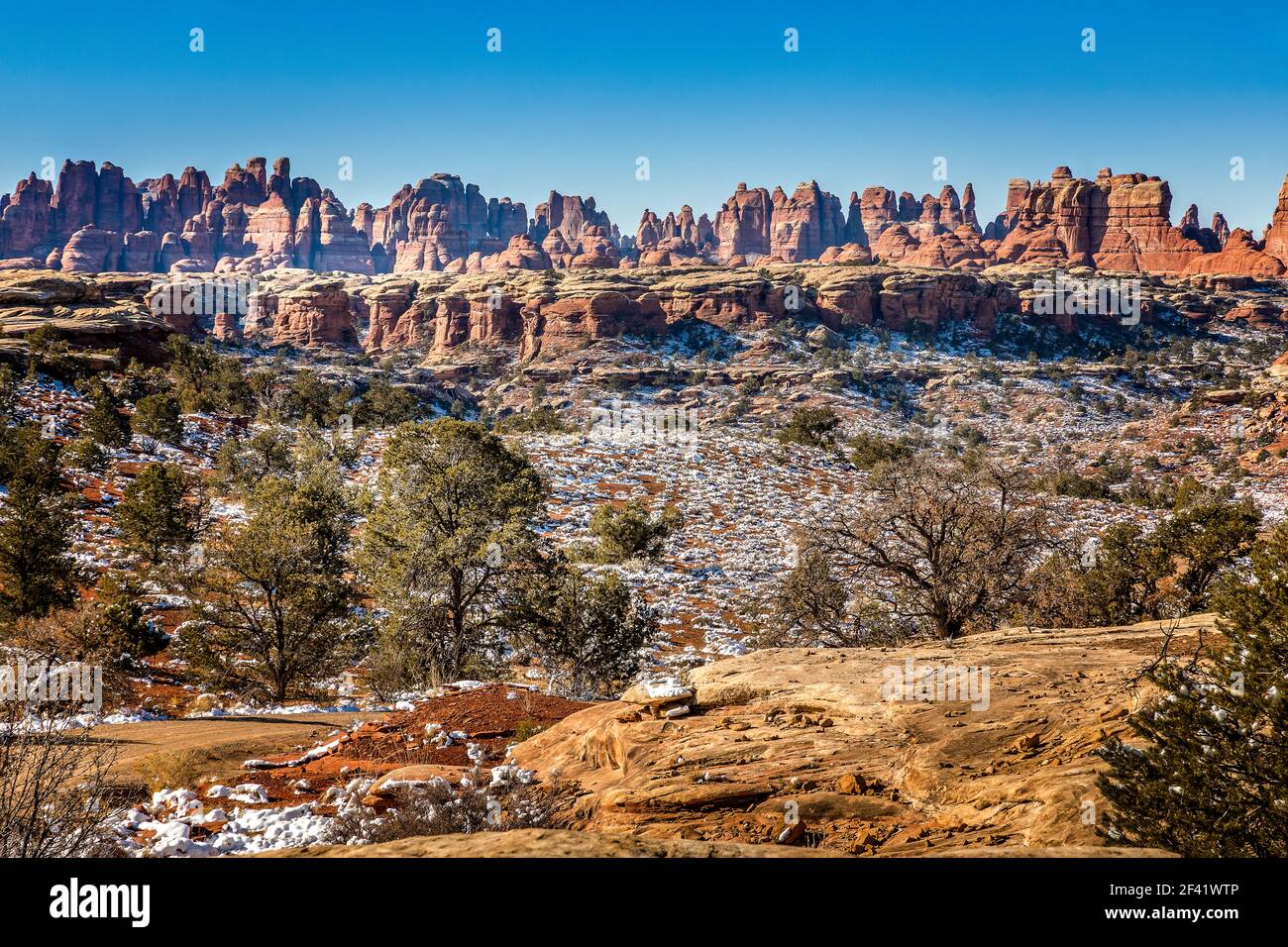 Vue panoramique sur le Needles District dans le parc national de Canyonlands, Utah Banque D'Images