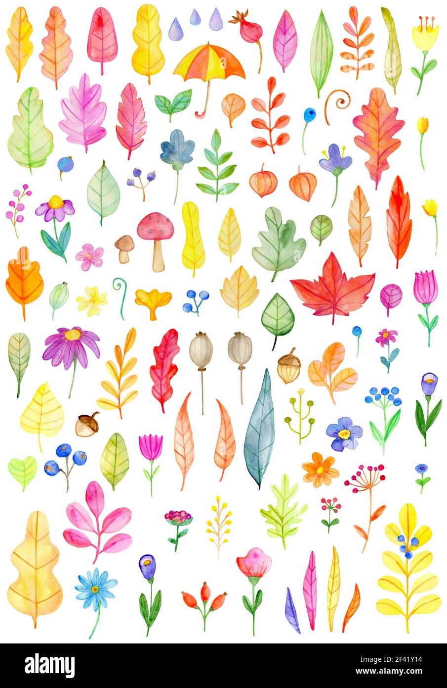 Aquarelle de fleurs et de feuilles sur un fond blanc. Botaniques dessinés à la main, des éléments de conception d'automne Banque D'Images