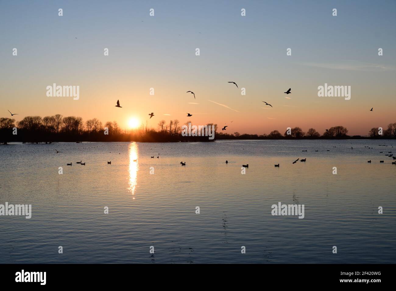 Coucher de soleil d'hiver tranquille sur un lac Banque D'Images