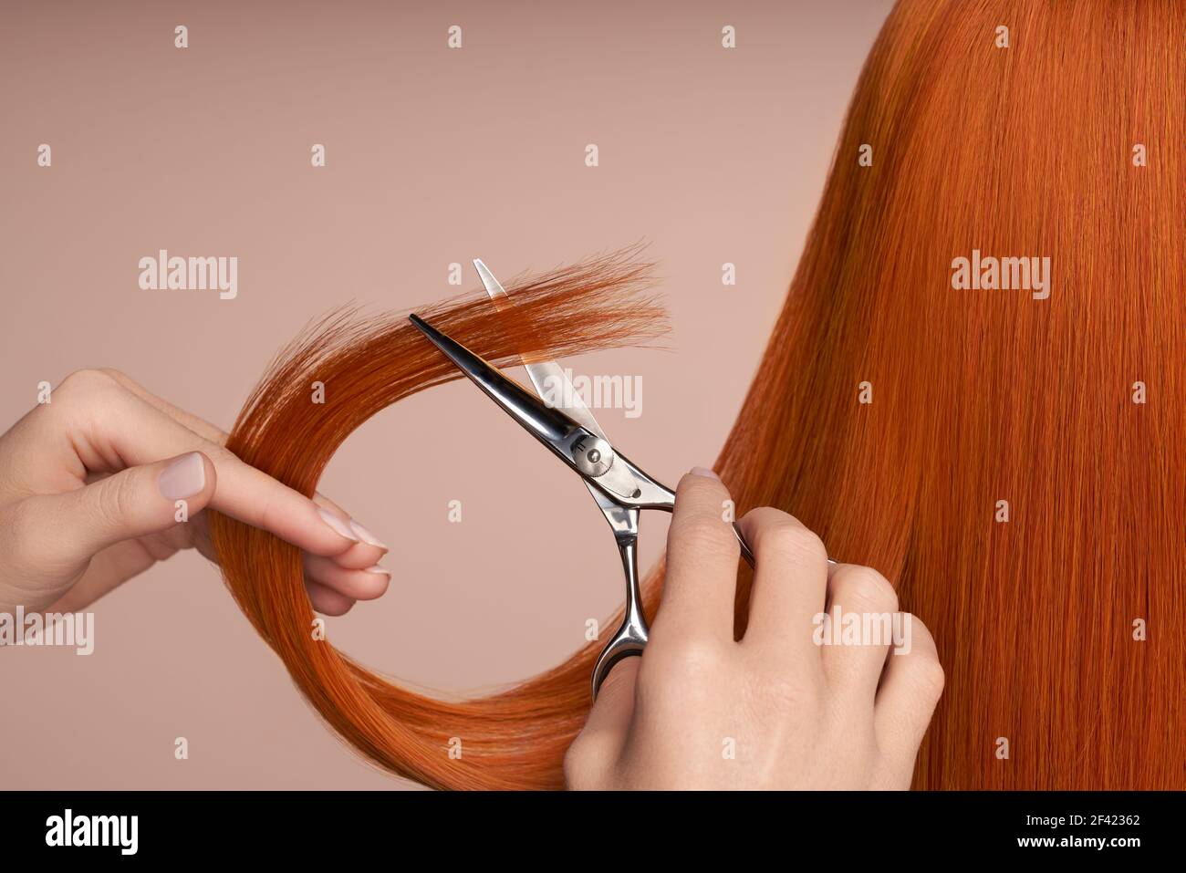 Coiffeur coupe de longs cheveux rouges avec des ciseaux. Salon de coiffure, hairstylist. Soins et produits de beauté pour les cheveux. Cheveux teints Banque D'Images