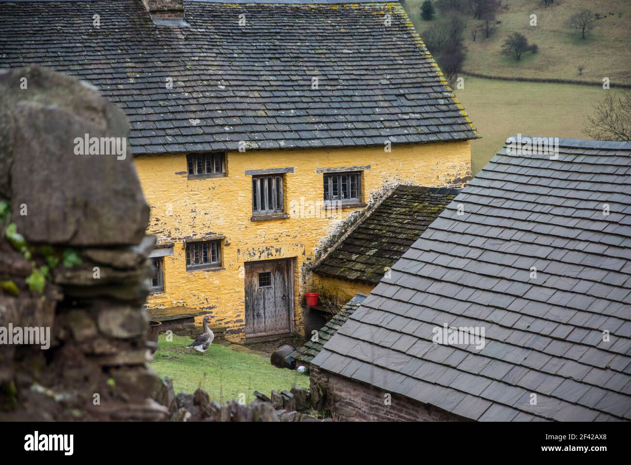 Ferme dans les montagnes noires. Banque D'Images