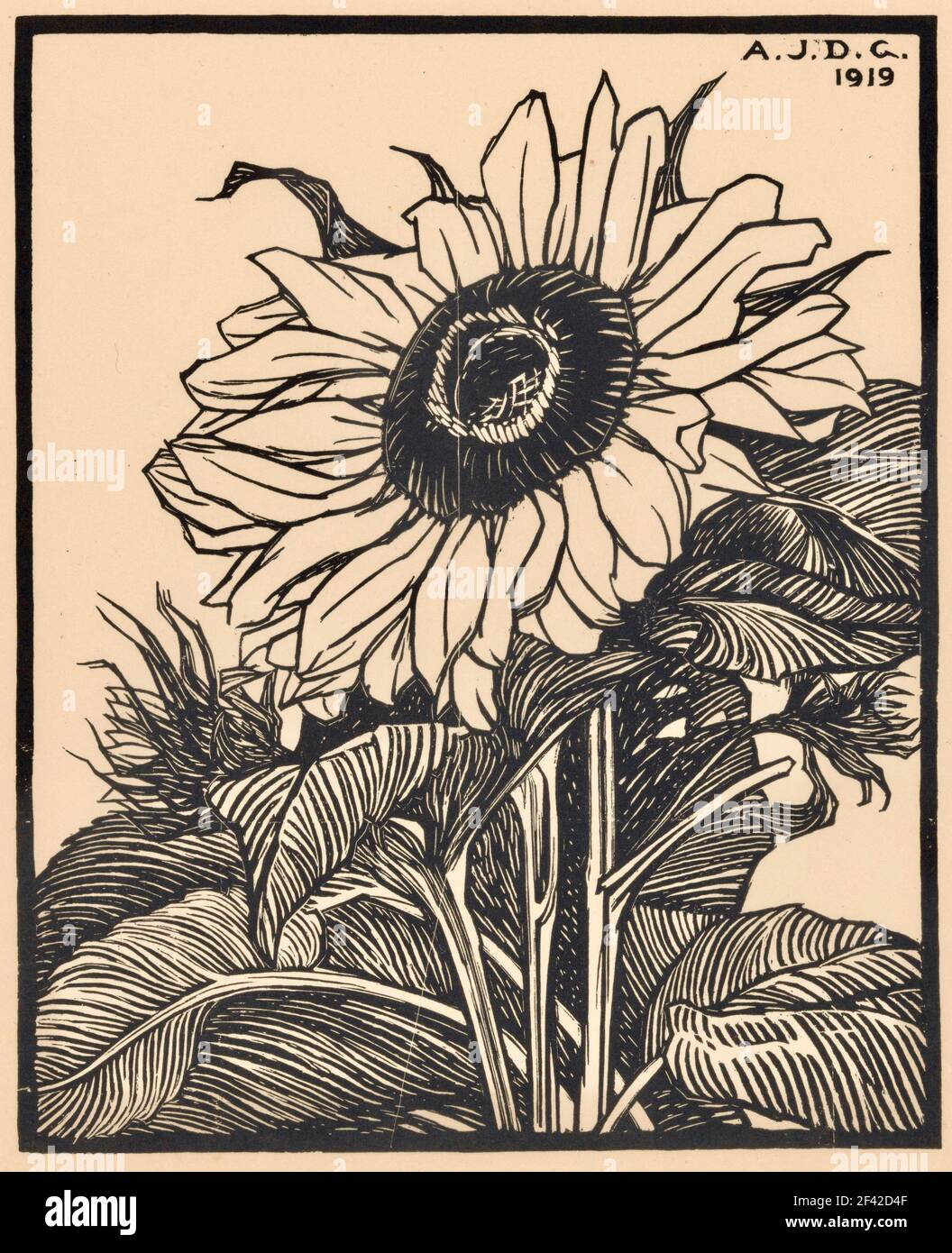 Julie de Graag oeuvre intitulée tournesol Banque D'Images