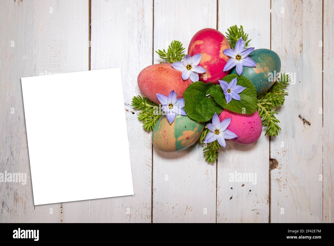 La joie de Pâques et du printemps. Œufs colorés avec fleurs printanières et feuilles violettes sur un fond chic et sorbby. Une petite carte pour votre wi de Pâques Banque D'Images