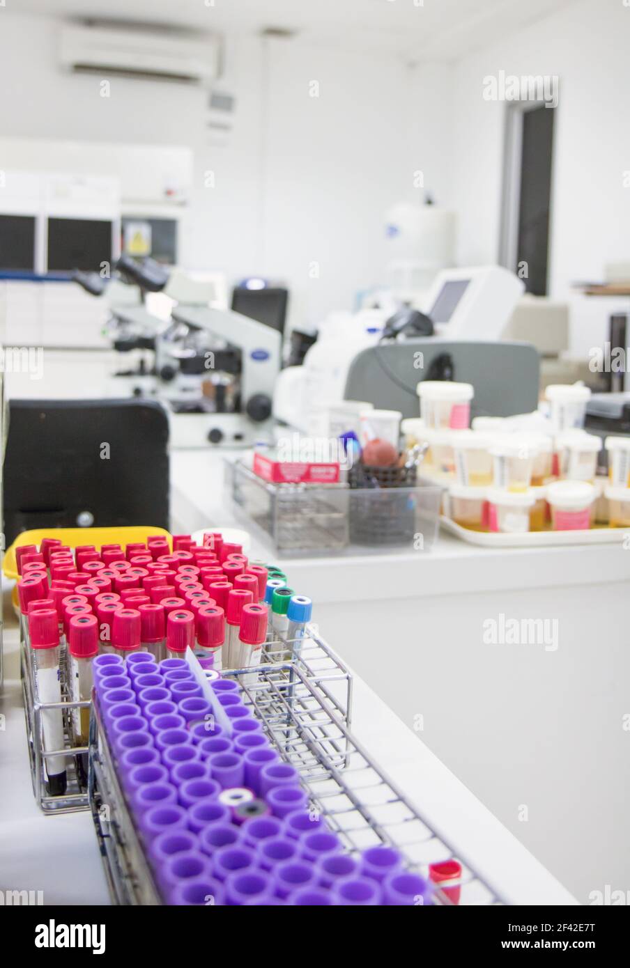 Vider le laboratoire avec des microscopes et des échantillons de liquides humains dans tubes à essai Banque D'Images